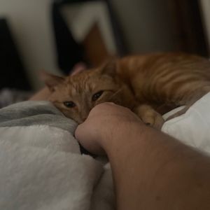 Meet your Posher, Justin